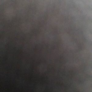 Meet your Posher, Marlene